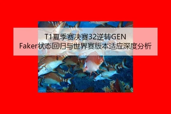 xia-ji-sai-jue-sai-ni-zhuan-zhuang-tai-hui-gui-yu-shi-jie-sai-ban-ben-shi-ying-shen-du-fen-xi-3-609.jpg