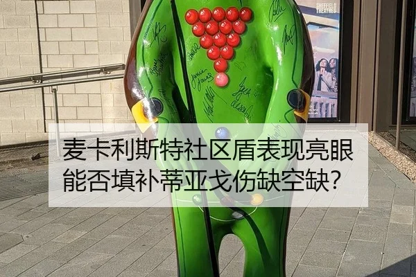 mai-ka-li-si-te-she-qu-dun-biao-xian-liang-yan-neng-fou-tian-bu-di-ya-ge-shang-que-kong-que-2-946.jpg